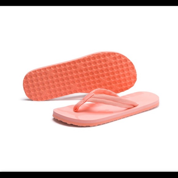 Puma - Picture 2 of 2